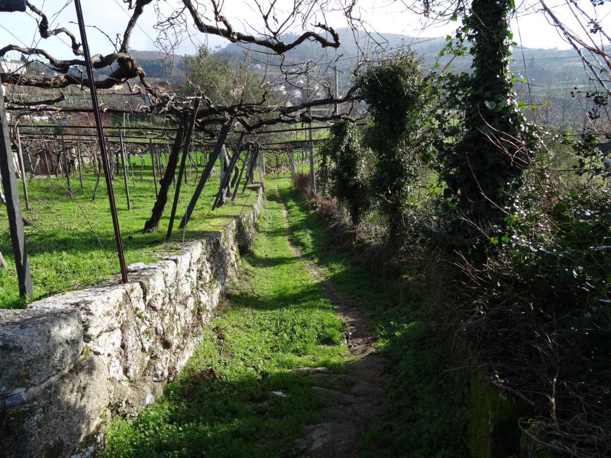 雷森迪Quinta De S. Cipriano别墅 外观 照片