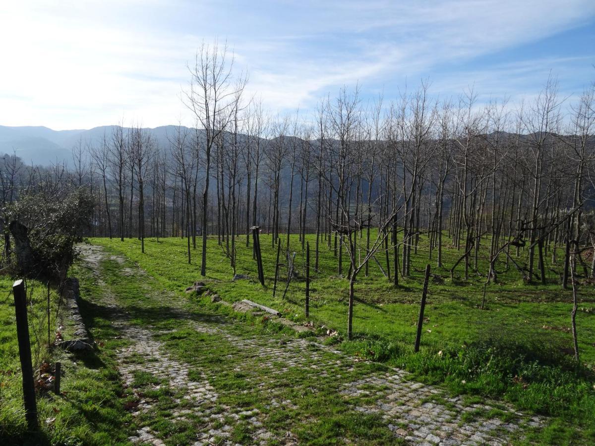 雷森迪Quinta De S. Cipriano别墅 外观 照片