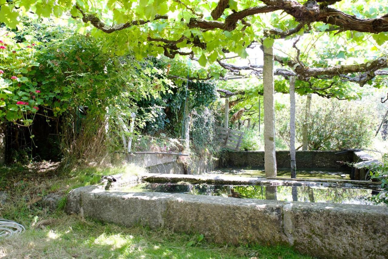 雷森迪Quinta De S. Cipriano别墅 外观 照片