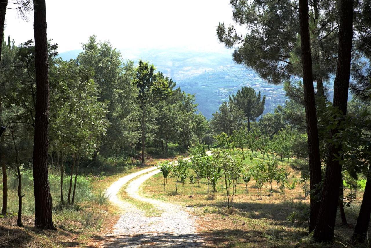 雷森迪Quinta De S. Cipriano别墅 外观 照片
