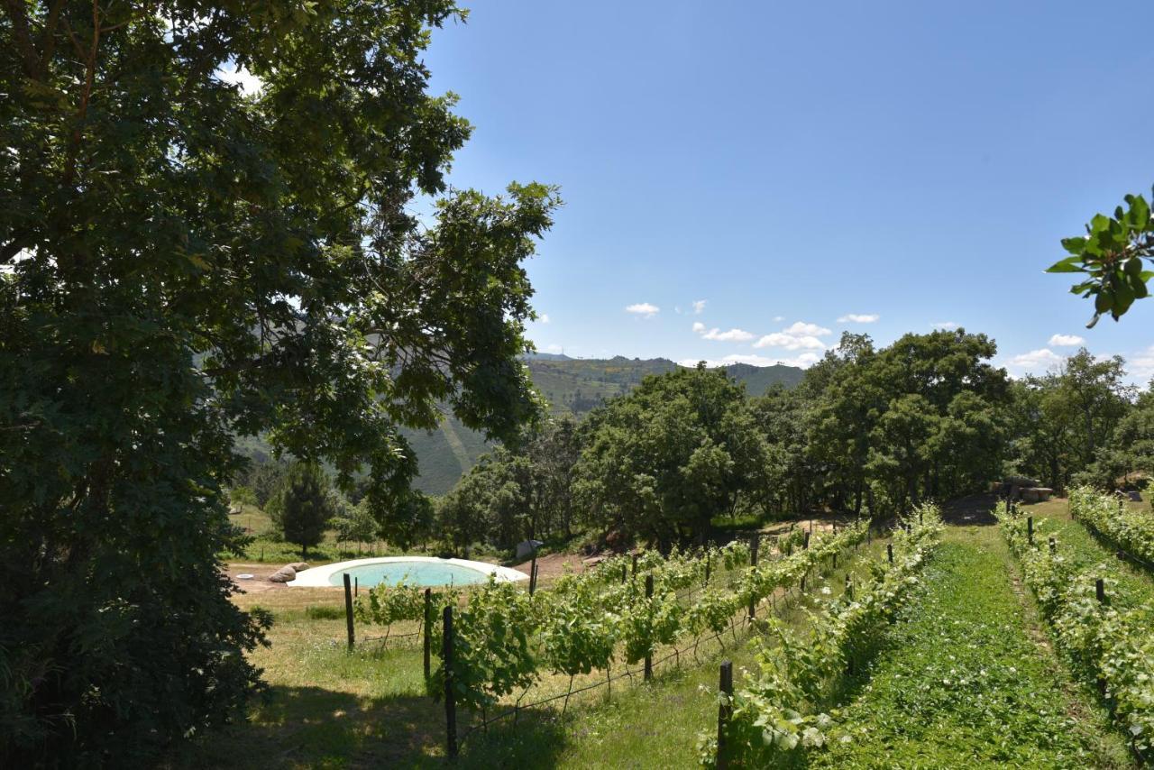 雷森迪Quinta De S. Cipriano别墅 外观 照片